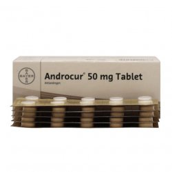 Андрокур (Ципротерон) таблетки 50мг №50 в Кемерове и области фото