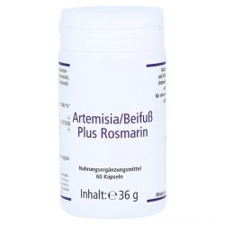 Артемизинин 392 мг капс. 60шт в Кемерове и области фото